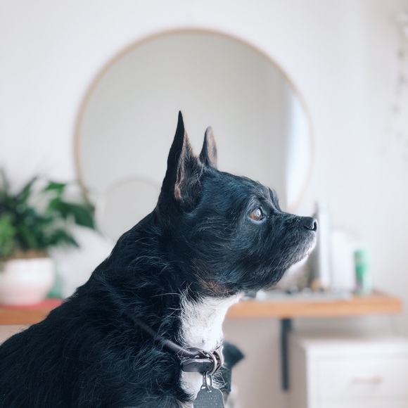 Meet The Seller! ✌🏼🌹 - Picture 7 of 9